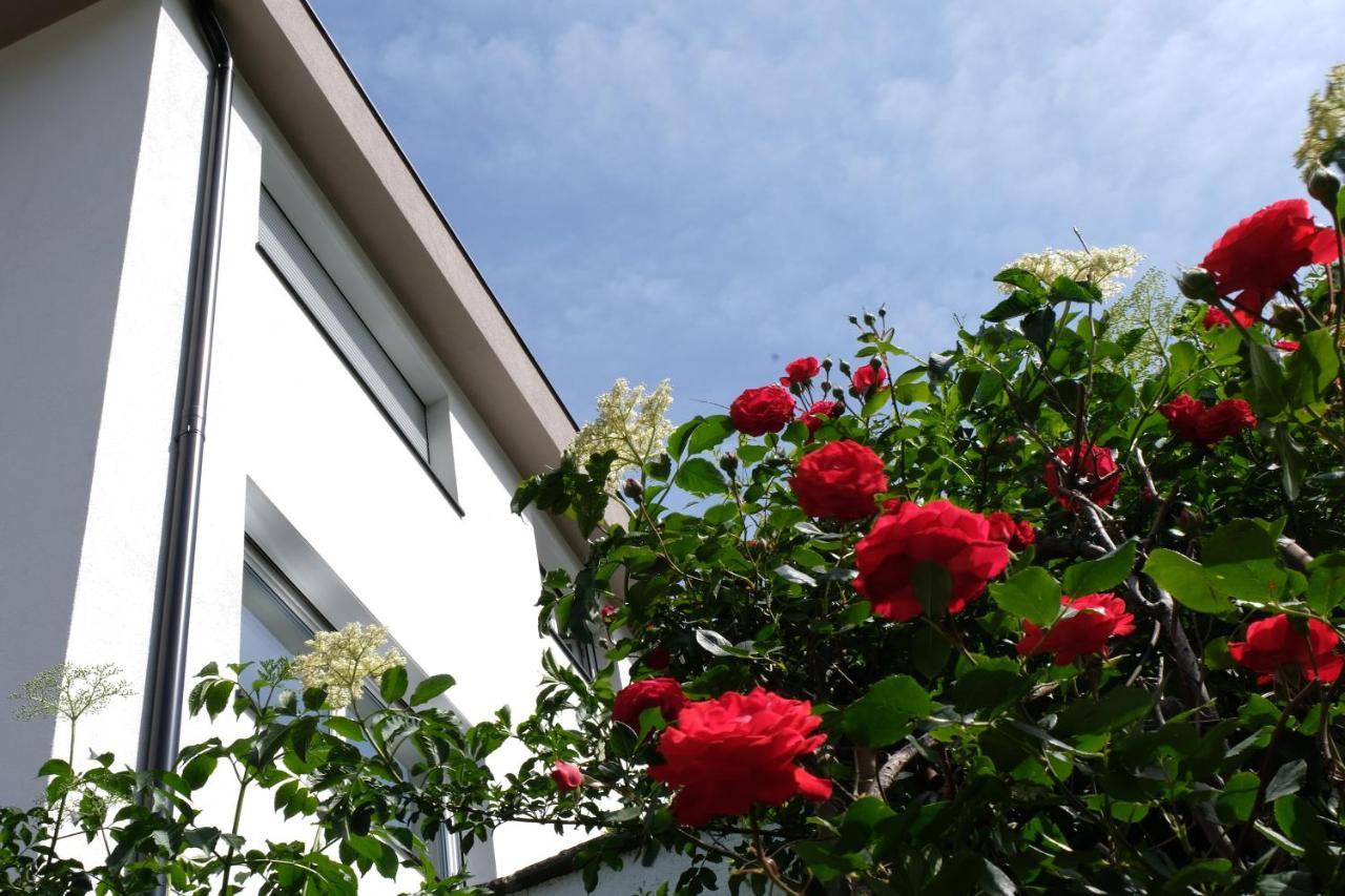 Apartment Le Rose Di Marianne - Sud Vahrn Dış mekan fotoğraf